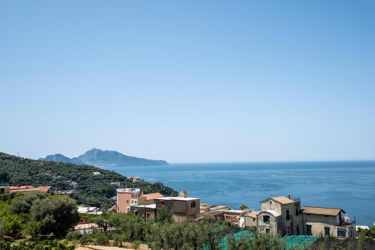 Neva Suites Massa Lubrense Sorrento Coast Eksteriør billede