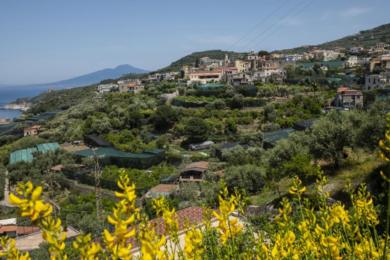 Neva Suites Massa Lubrense Sorrento Coast Eksteriør billede