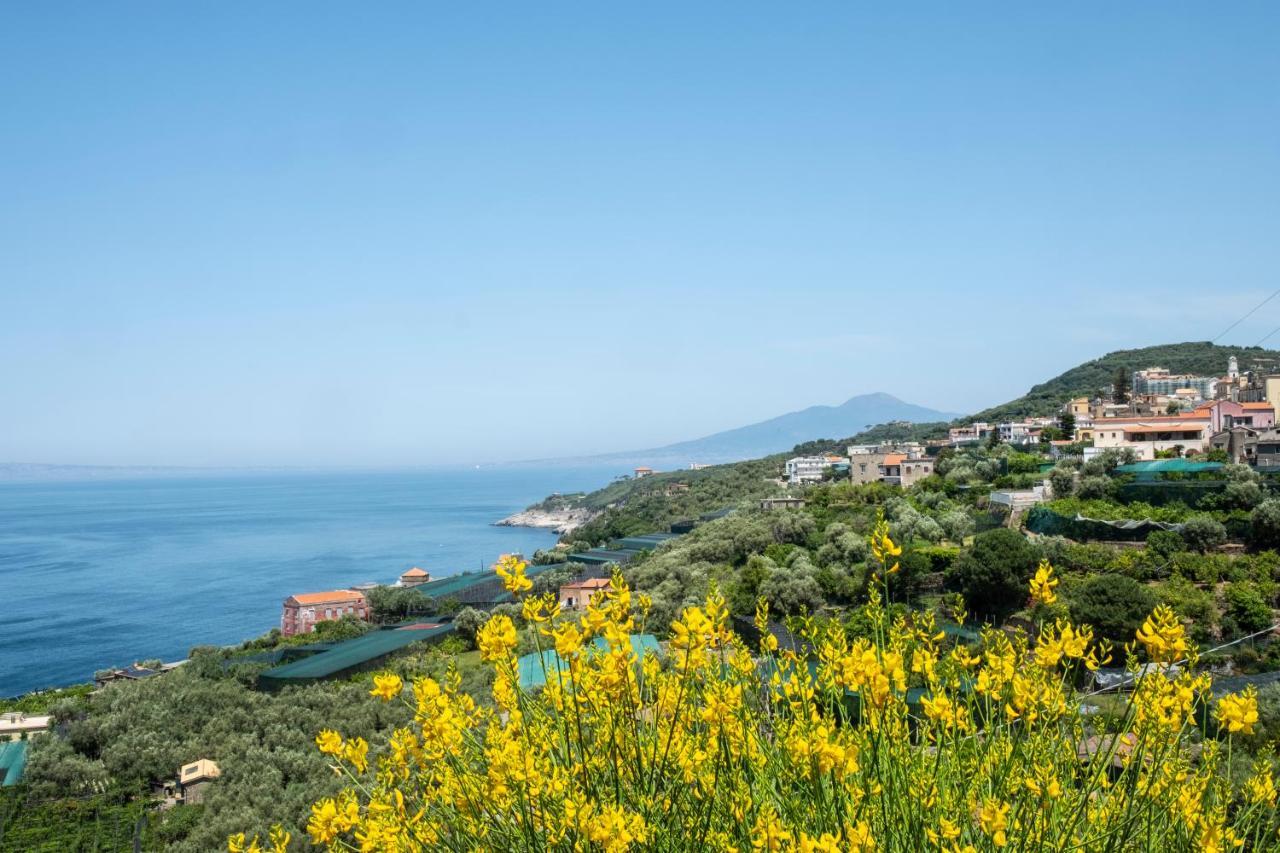 Neva Suites Massa Lubrense Sorrento Coast Eksteriør billede