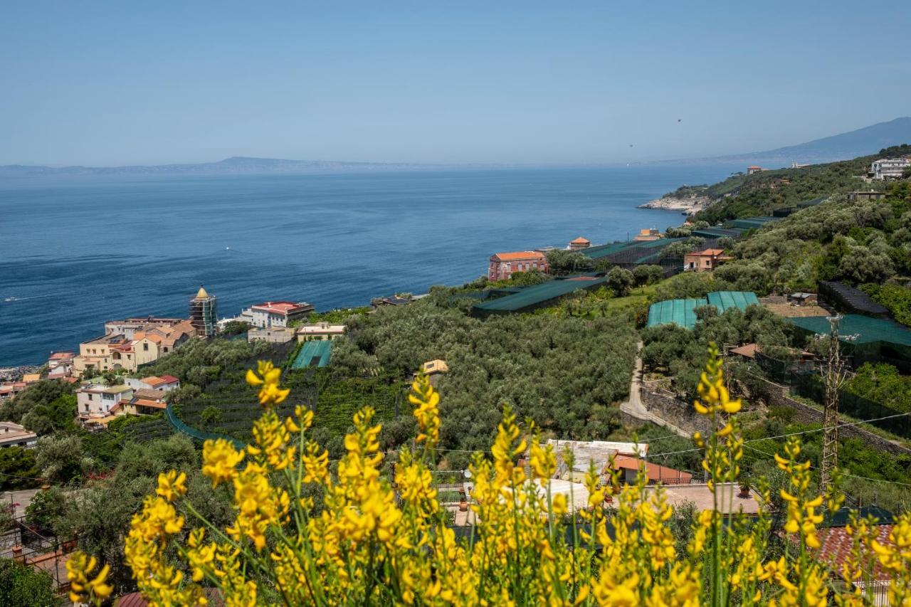 Neva Suites Massa Lubrense Sorrento Coast Eksteriør billede